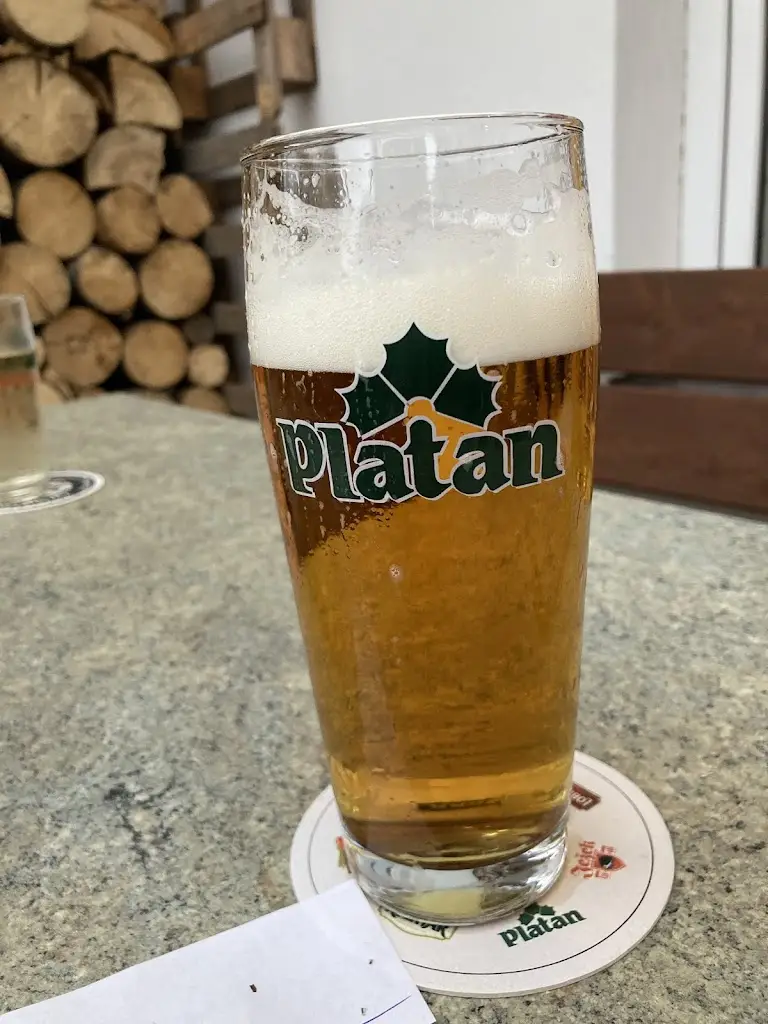 Irena Kolafa_Hostinec pod kaštanem_Milevsko_recensione