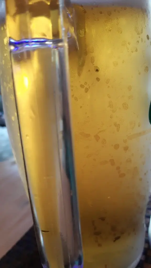 Menu_Kulturní dům Holýšov_Holýšov_image_2