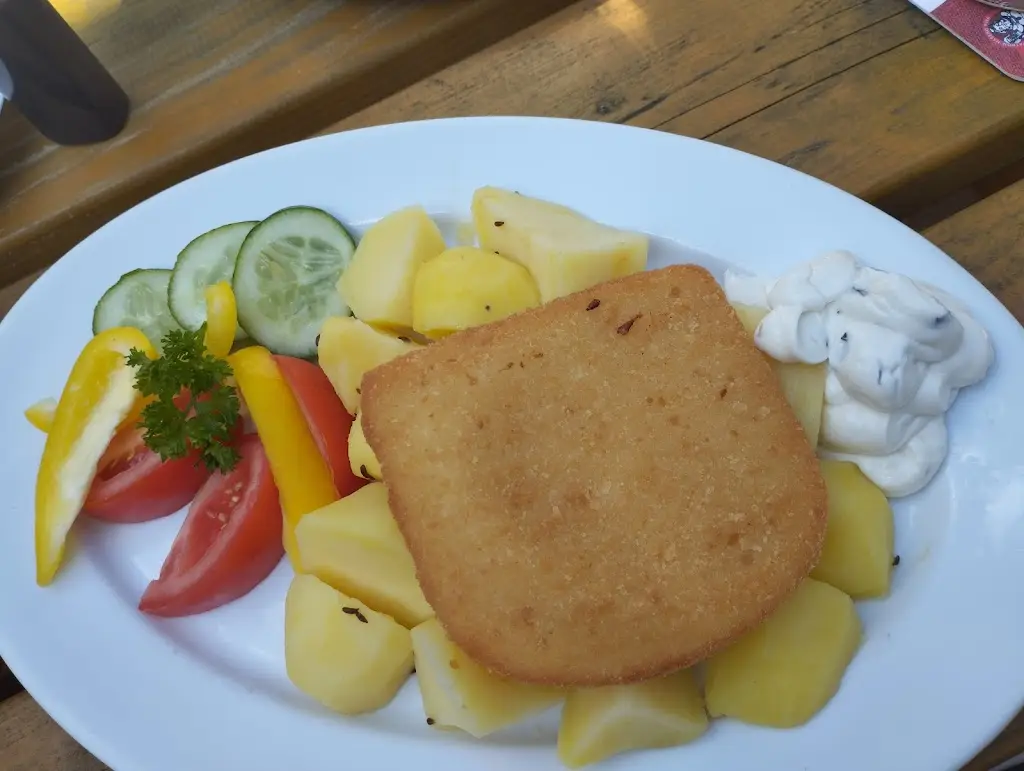 Daniel_Restaurace Český lev_Hromnice_review