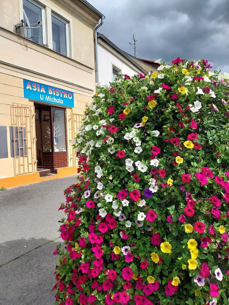 Frank Liebsch_Asia Bistro u Michala_Kdyně_review