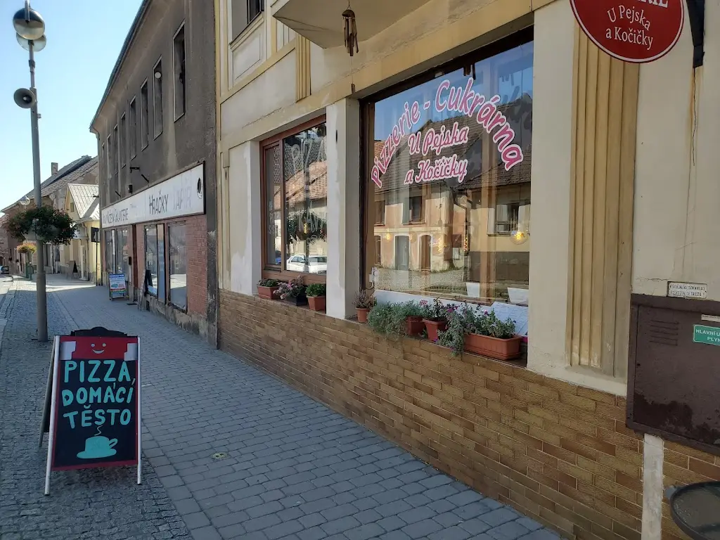 Shlomi Segal_Pizzerie U Pejska a Kočičky Kasejovice_Kasejovice_review