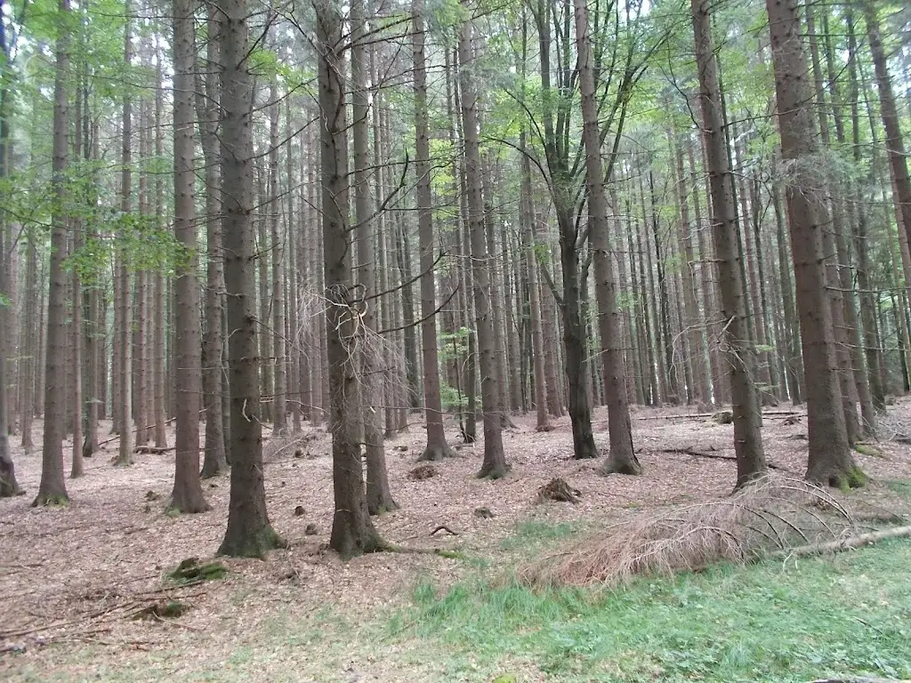 Hospůdka u Psůtků_Klenčí pod Čerchovem_slider_image_3