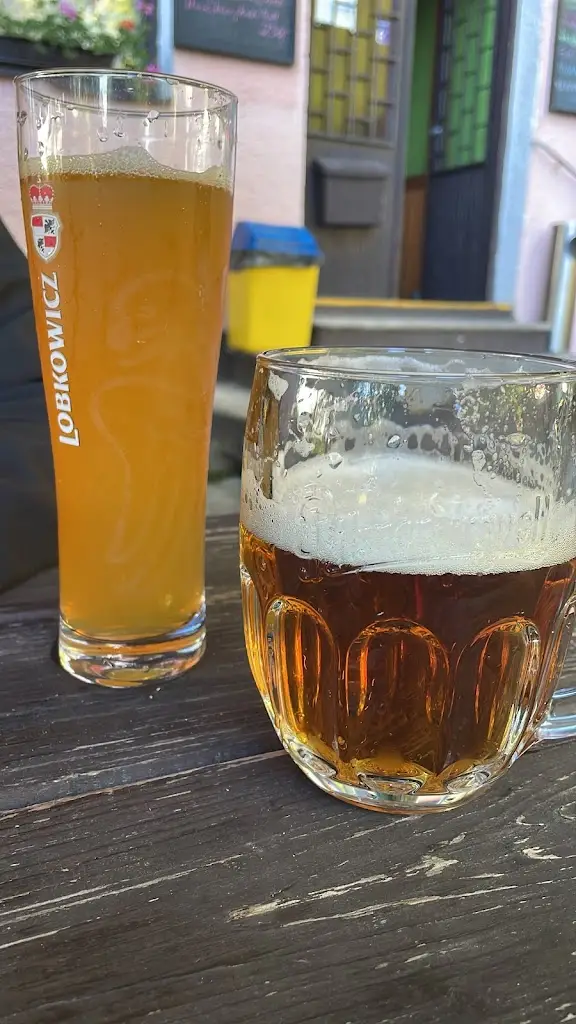 Michael Pistner_Restaurace Hájovna_Kout na Šumavě_review