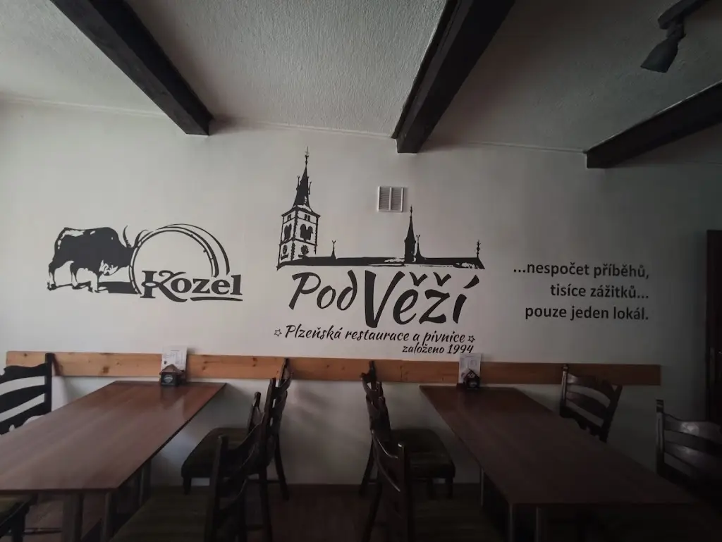 Dáša Novotná_Restaurace Pod Věží_Kašperské Hory_recensione