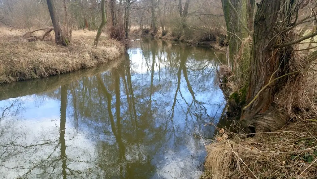 Asia Restaurace Sídliště_Horšovský Týn_slider_image_2