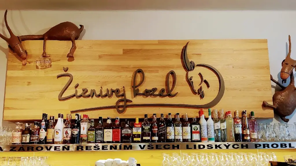 Žíznivej kozel restaurant in Okres Klatovy