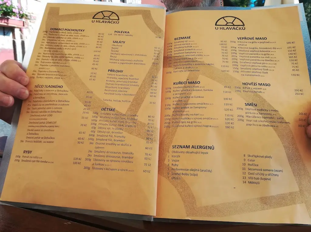 Menu_RESTAURACE A PENZION U HLAVÁČKŮ HORAŽĎOVICE_Horažďovice_immagine_2