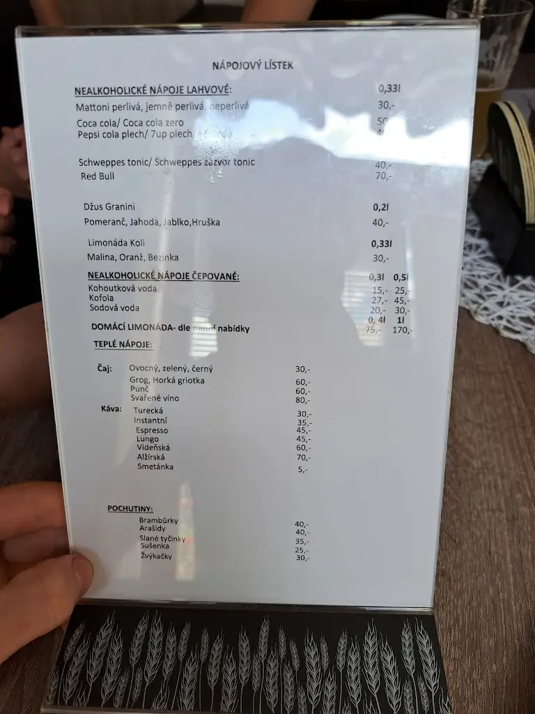 Menu_Restaurace U Toma_Nová Bystřice_immagine_4