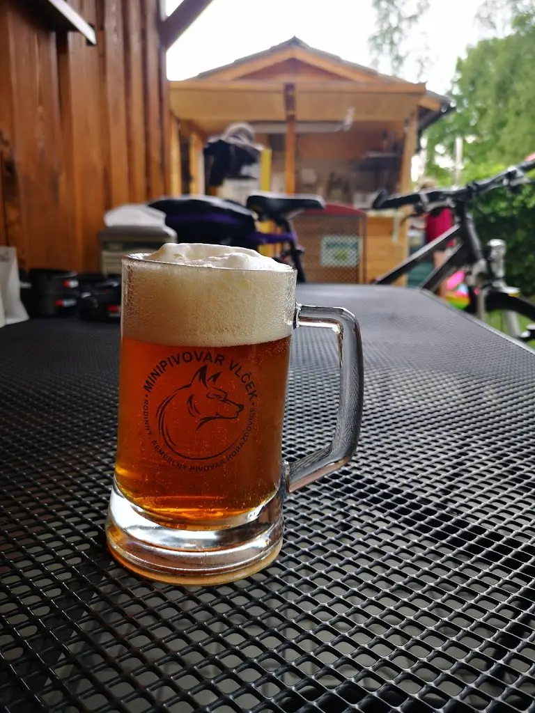 Bettina Eibl_Pařezová Chaloupka Babín_Horažďovice_review