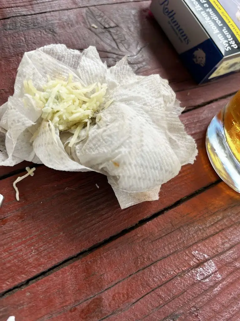 Viktorie Hrstková_Restaurace Harmonie_Horažďovice_review