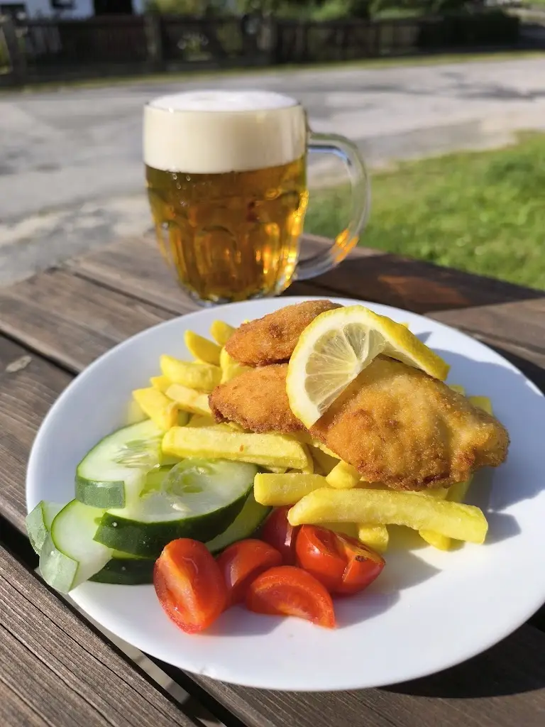 Hans von Schimitz_Hospoda u Jiroušků_Nová Bystřice_recensione