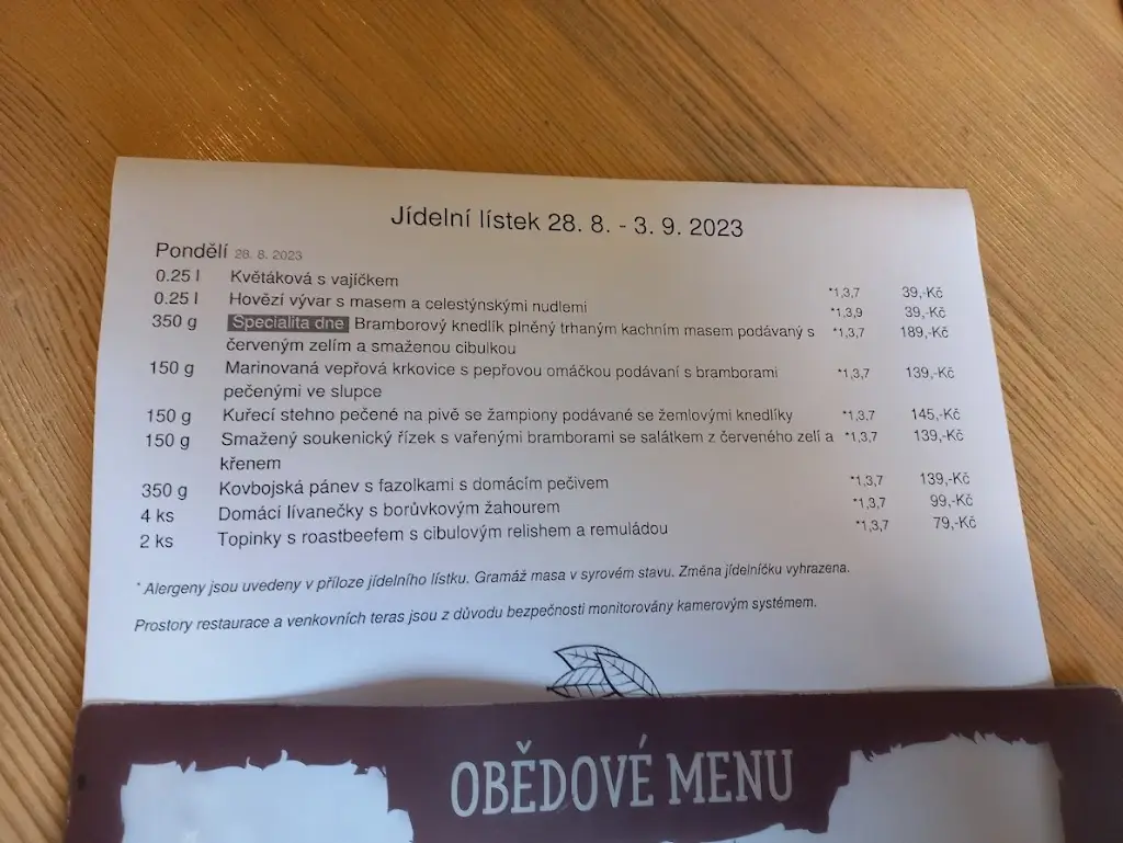Menu_Restaurace Sokolovna Nepomuk_Nepomuk_image_2