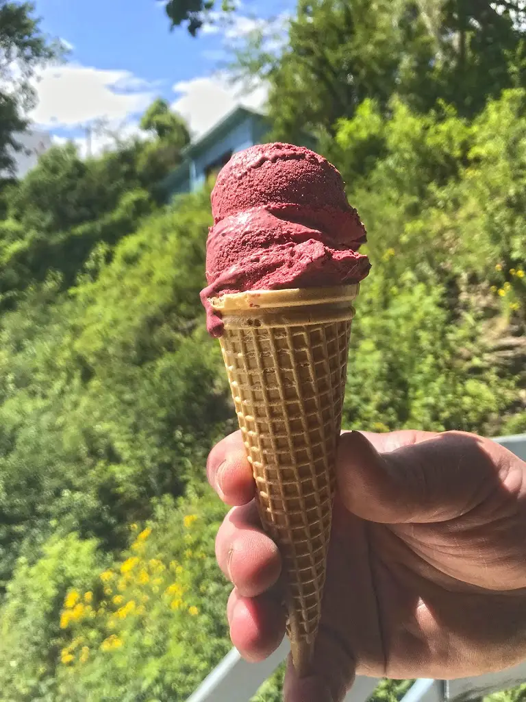 Spolek pro rozvoj včelařství MÁJA ristorante a Kožlany