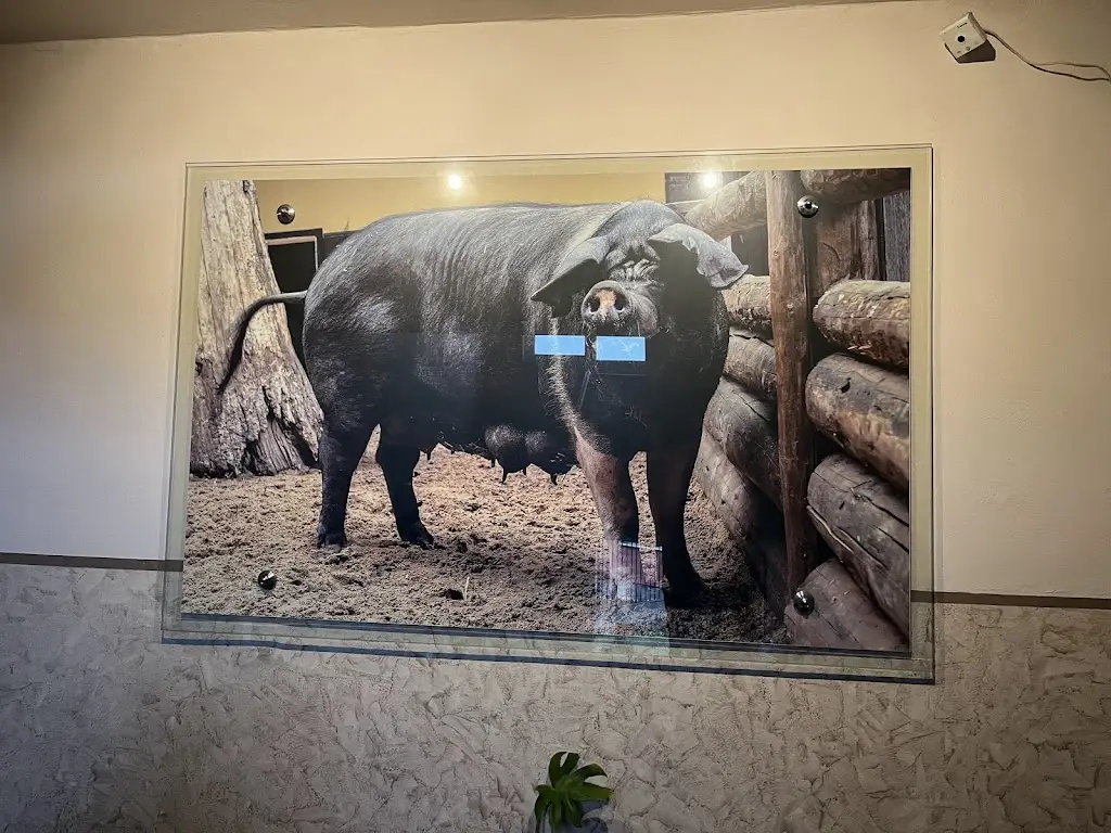 Restaurace Přeštická svině_Okres Plzeň-jih_slider_image_3