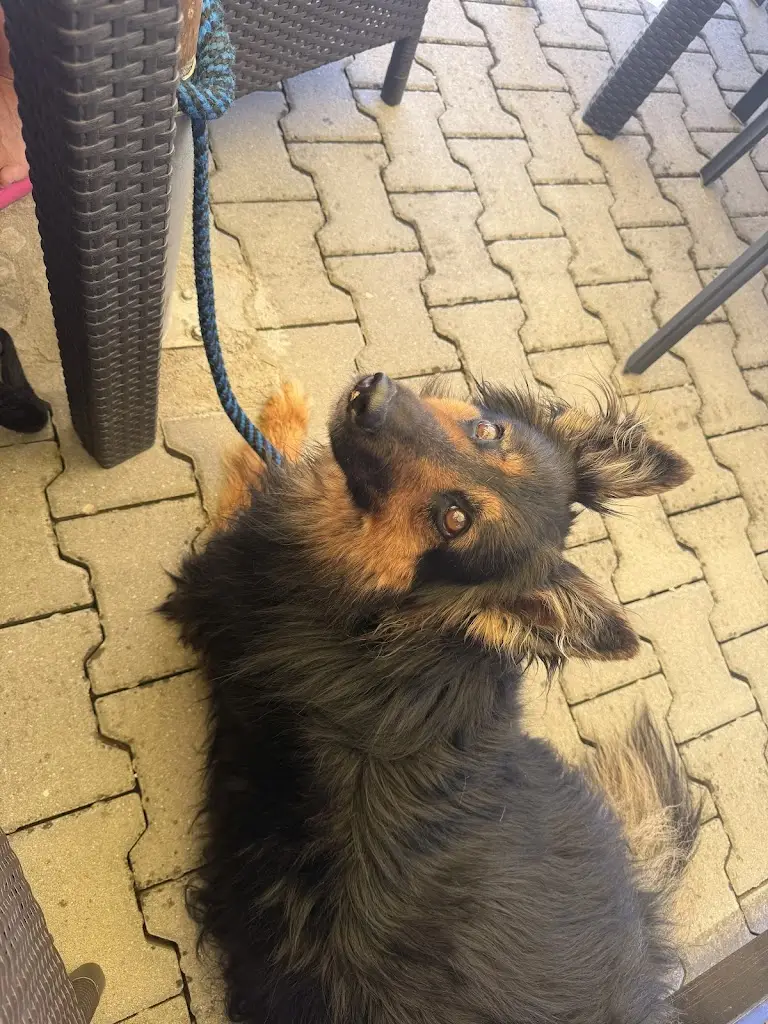 Michaela Balounová_Restaurace Crossroad_Přeštice_review