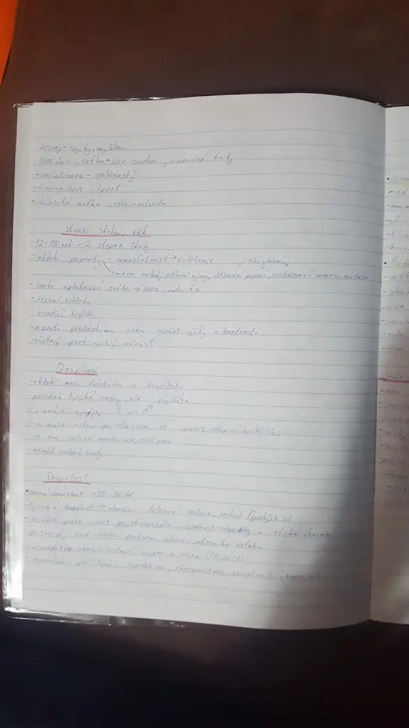 Menu_Cukrárna V Háječku_Přeštice_image_3