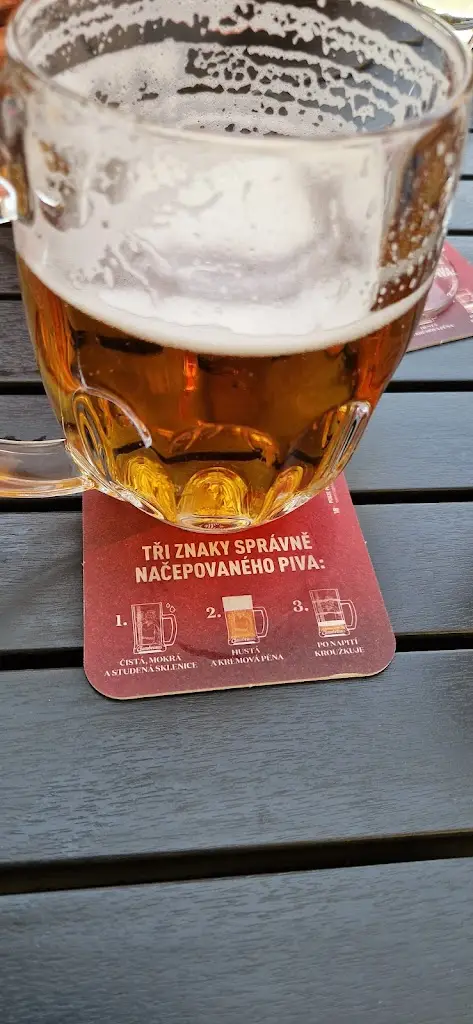 Remco de Vries_Restaurace Spolák_Přeštice_review