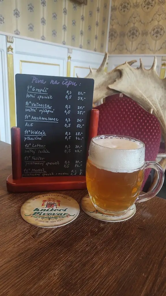 Przemyslaw Charzynski_Zámecký restaurant Rudolf ll._Plasy_review