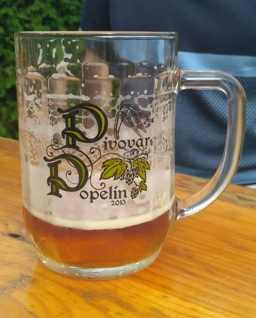 Menu_Pivnice Na Nechybě_Nová Včelnice_image_4