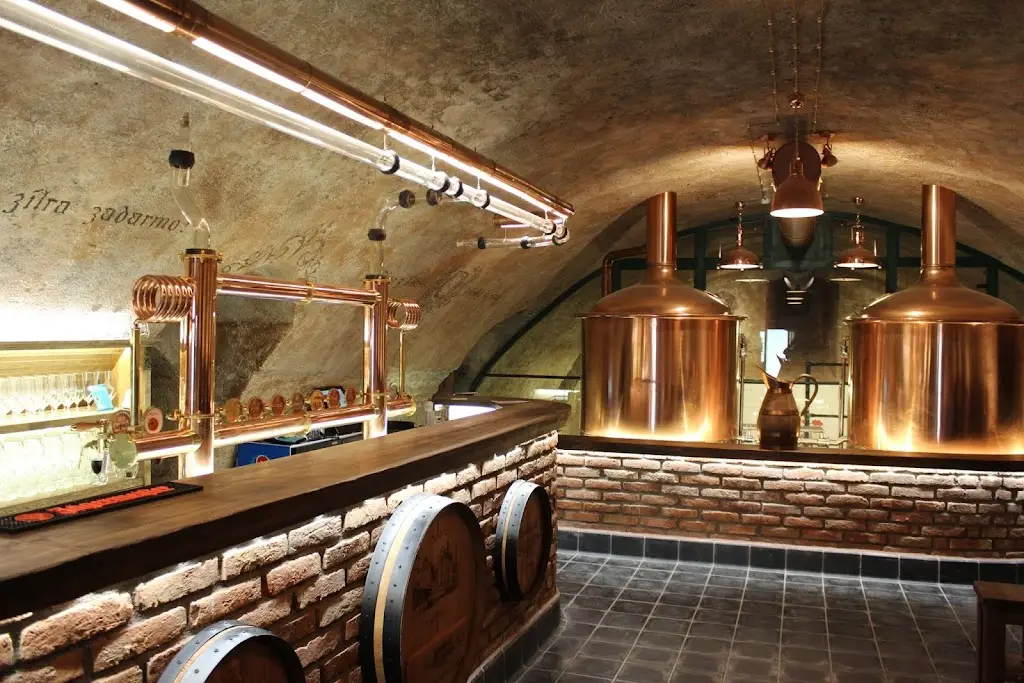 Knížecí pivovar Plasy restaurant in Plasy