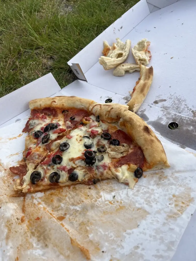 Crepis Biennis_Rud's pizza Plasy_Plasy_recensione