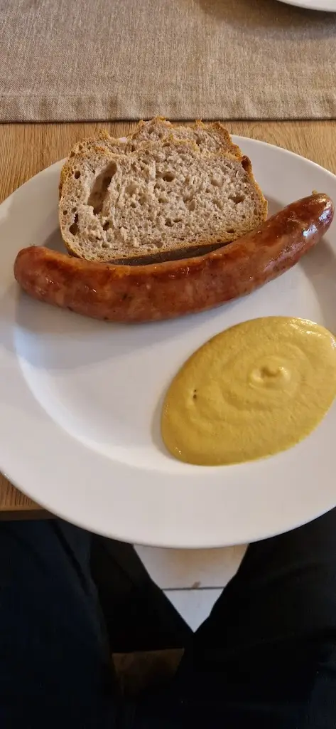 Reynold Kaunds_Restaurace Pod Radyní_Starý Plzenec_review