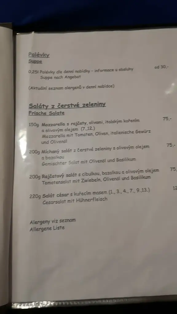 Menu_Restaurace Švihovský Dvůr_Švihov_image_3