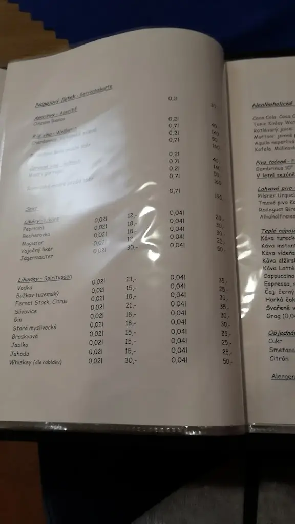 Menu_Restaurace Švihovský Dvůr_Švihov_image_4