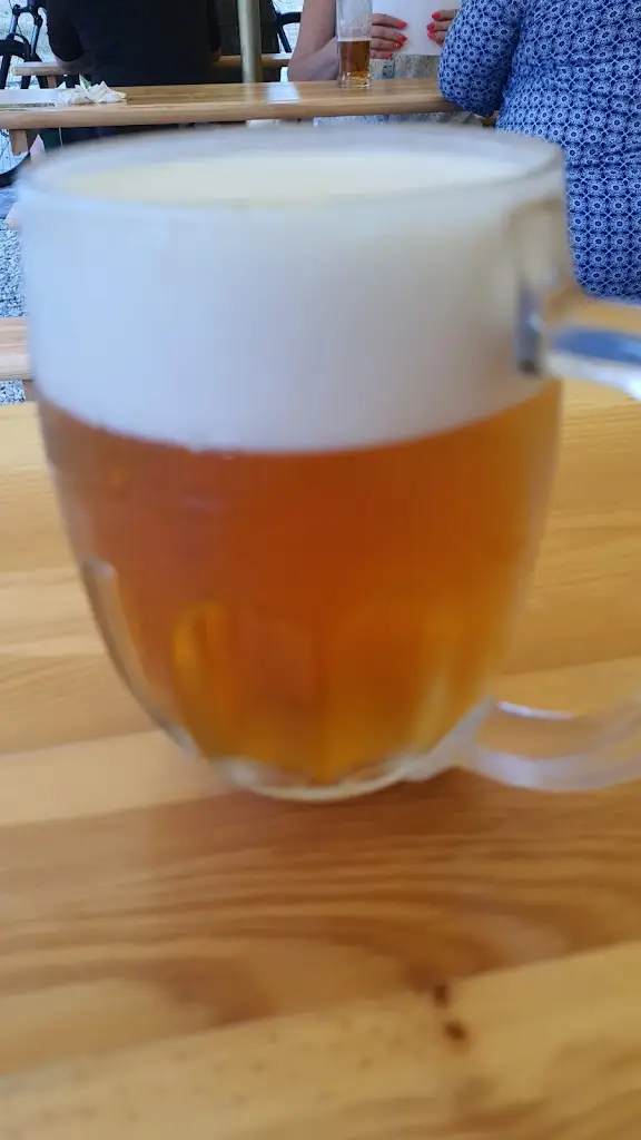 Jan Lizák_PÍPA Třemošná - hospoda, pivnice_Třemošná_recensione