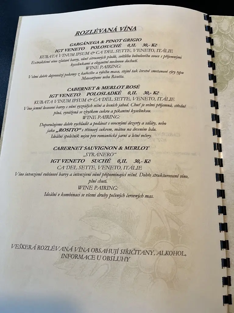 Menu_Restaurace Hokejka_Černý Most_image_2