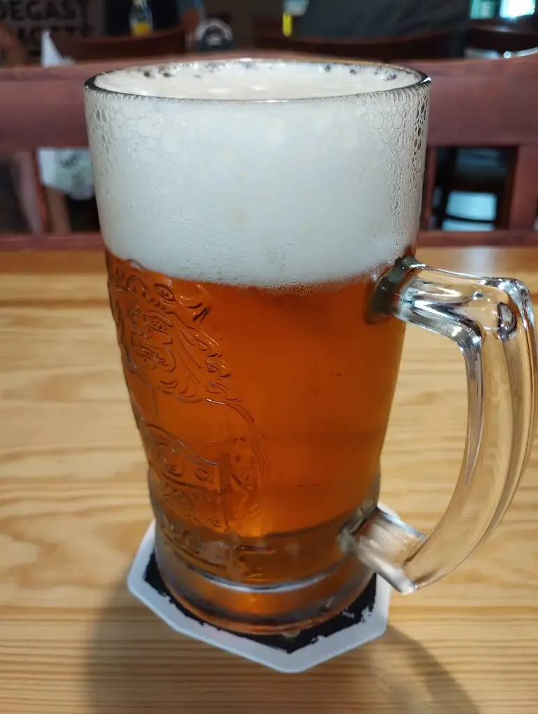 Menu_Kozel na Mostě_Černý Most_immagine_3