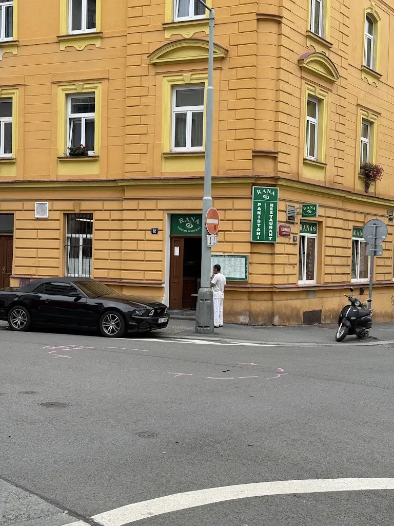 Simona Cojocaru_Rana_Libeň_review