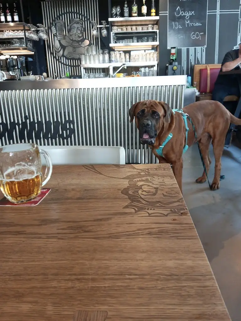 Beatrice Mitchell_Srdcovka Skleník_Letňany_recensione