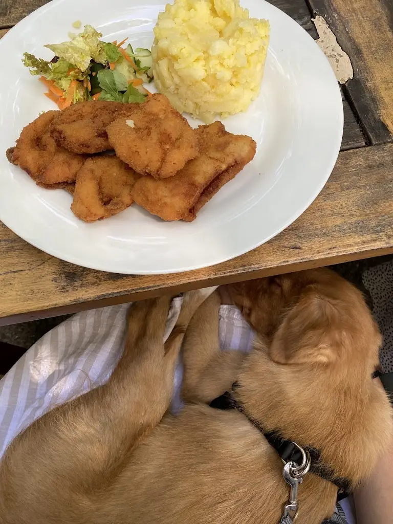 Linda Valeriánová_Restaurace Na Kempu_Dolní Počernice_review