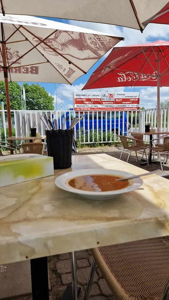 Menu_Bistro Mocart_Satalice_image_5