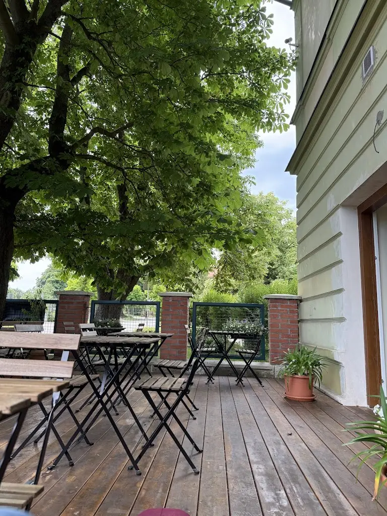 Ála Hartová_Café Bistro MOTÝL_Satalice_review