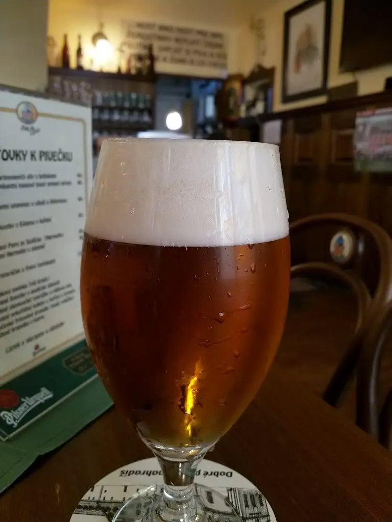 Menu_Švejk restaurant Benešov_Benešov_immagine_5