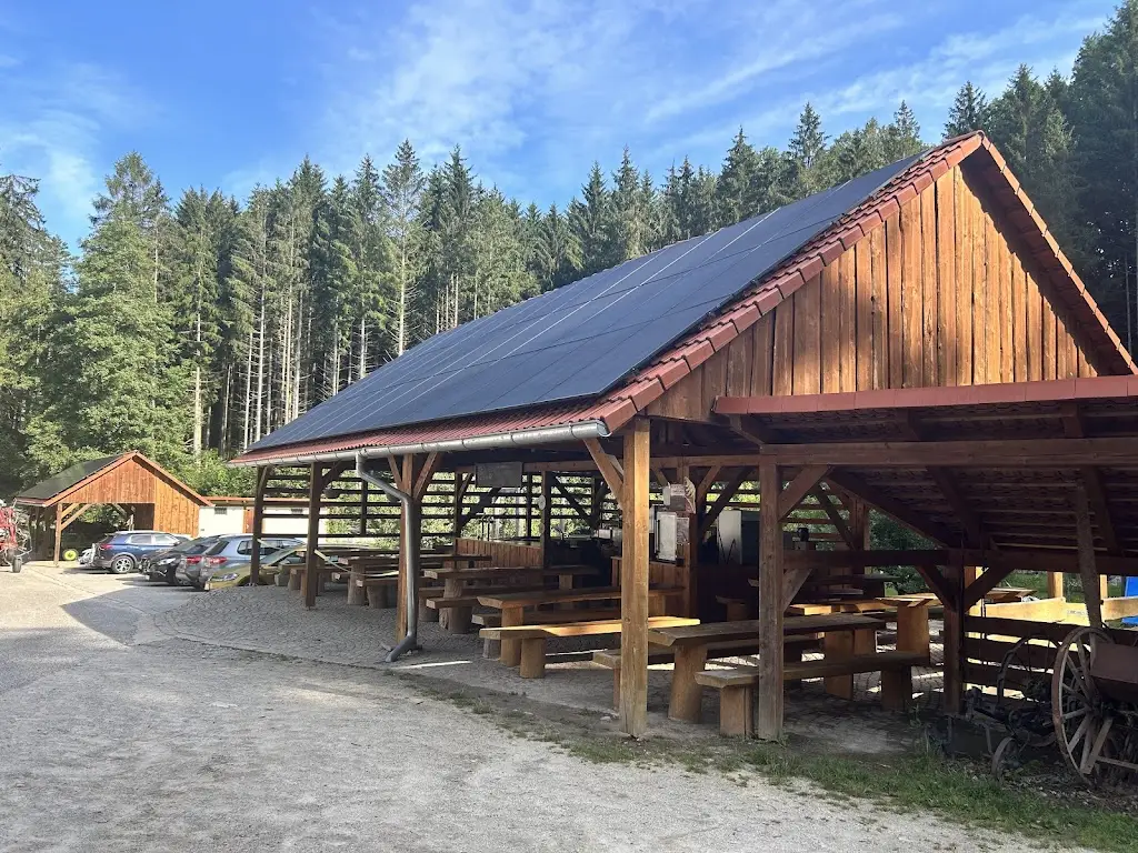 Radka Scott_Zevlův mlýn_Nové Hrady_recensione