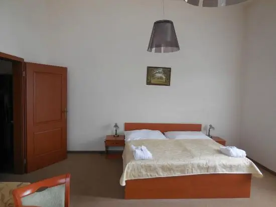 Remi_Hotel Rezidence_Nové Hrady_review