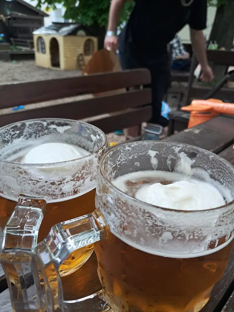 Bedřich Kmínek_Pod Kaštany_Vysočany_review