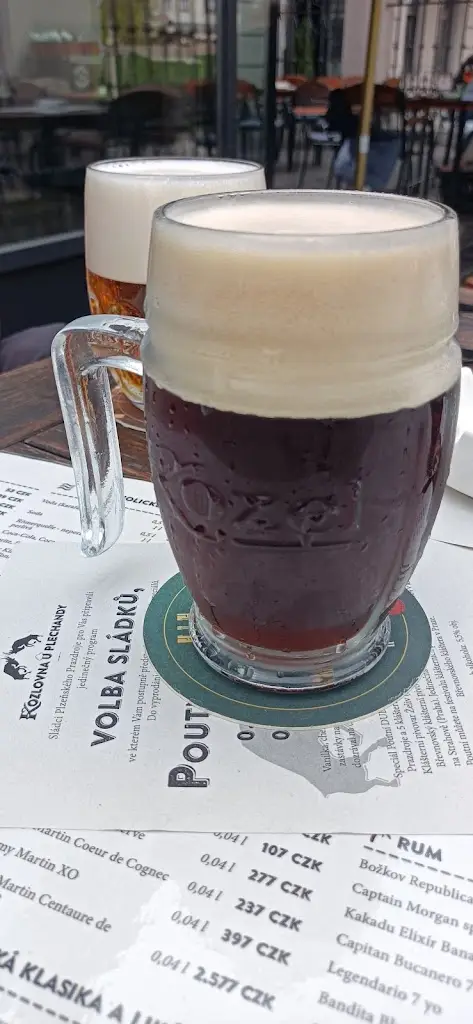 Kristýna Vacardová_Kozlovna u Plechandy_Okres Písek_review