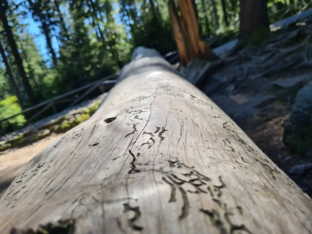 jiri smetana_McDonald's_Benátky nad Jizerou_review