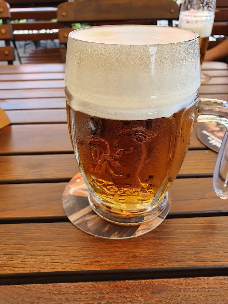 Menu_Kozlovna Bílá růže Čáslav_Čáslav_image_5