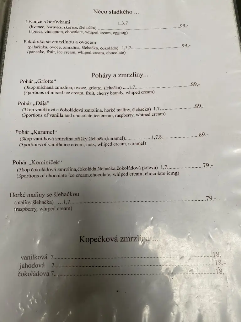 Menu_Restaurace Kup_Český Brod_immagine_2
