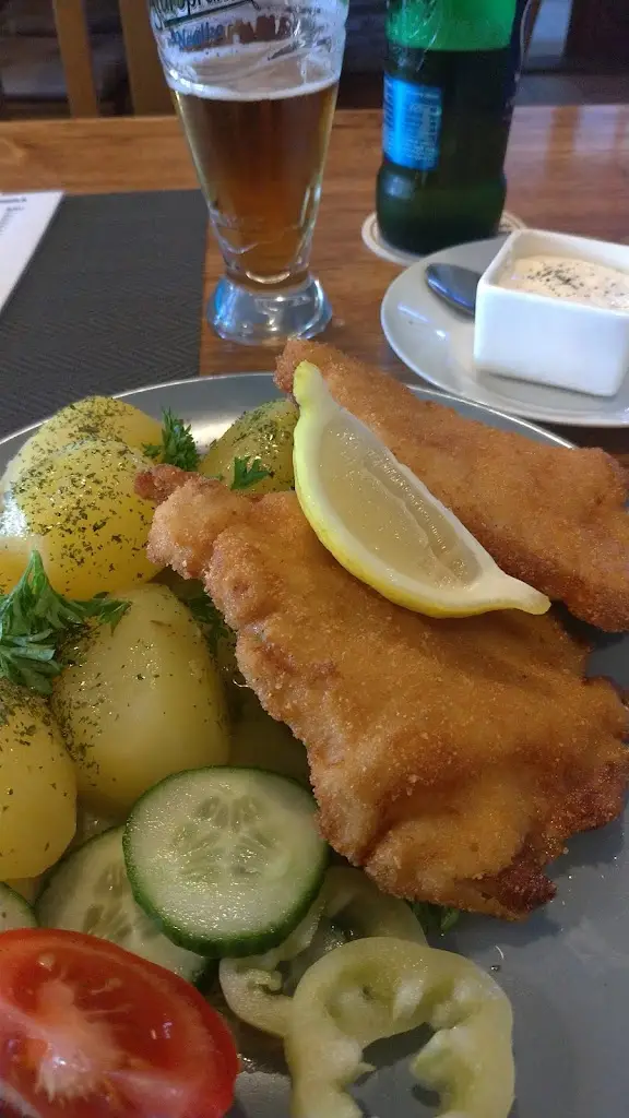 Ladislav Dibďák_Restaurace u Sokola_Divišov_review