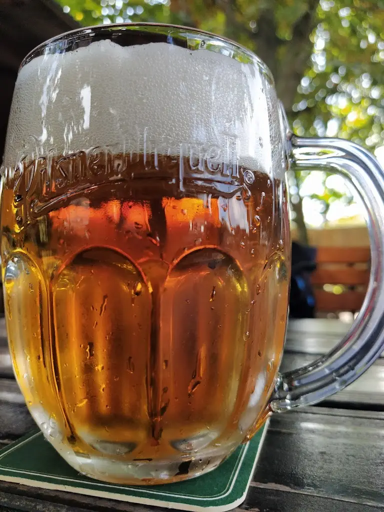 Menu_Restaurace Jedličkovy Lázně_Černošice_image_5