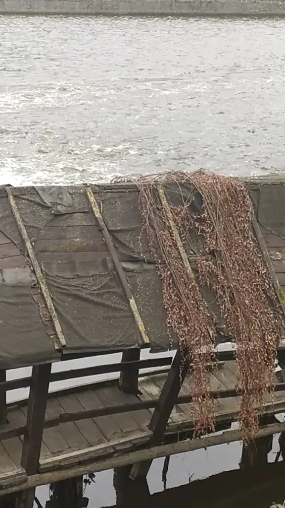 Jaroslava Zárubová_Hospůdka pod Skalou_Okres Písek_review