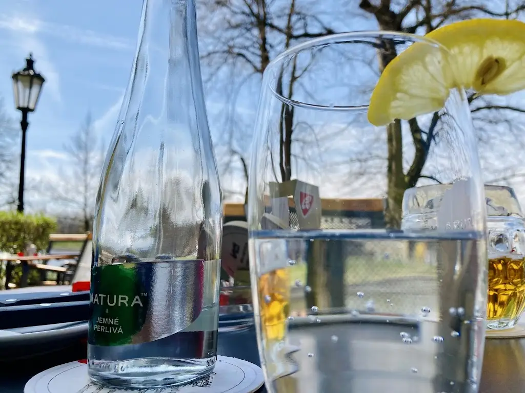 Robert Carlisle_Restaurace U Kamenného mostu_Okres Písek_review