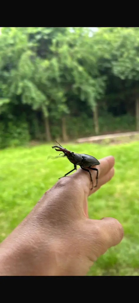 Věra Zakievová_Hotel - in breweries_Davle_review