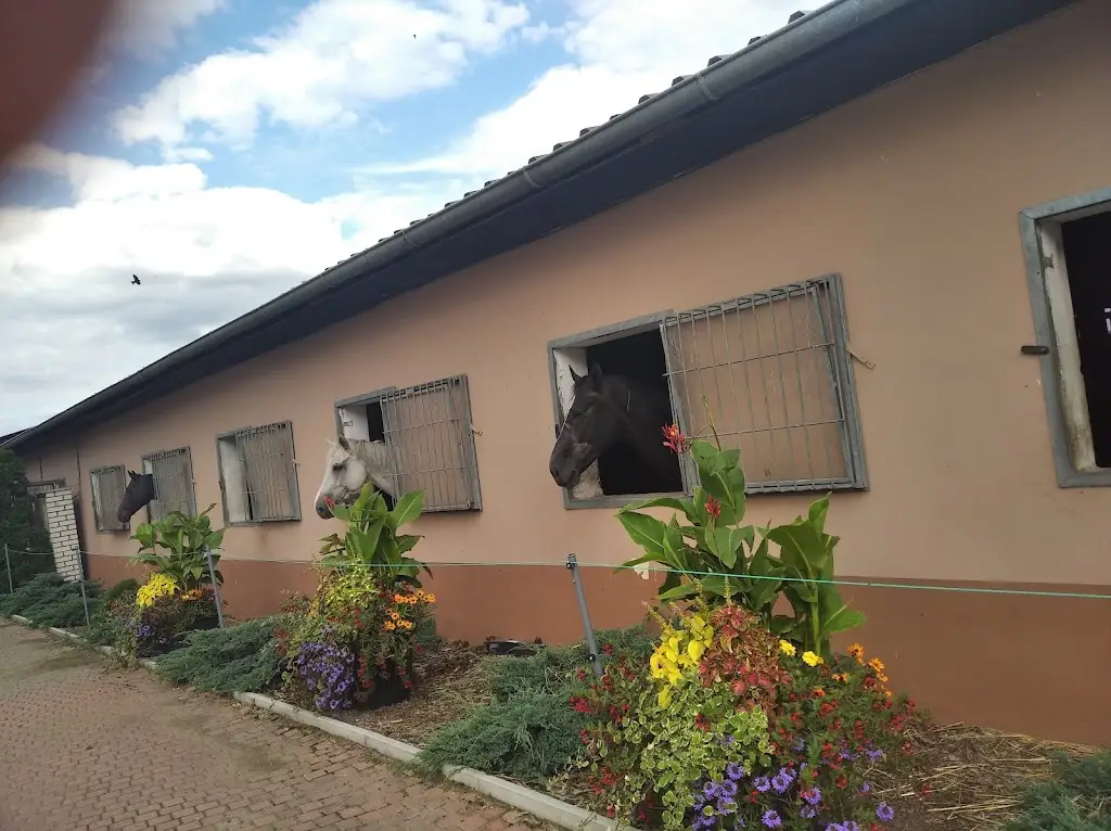 Anna Šťastná_RANCH Hořovice_Hořovice_recensione